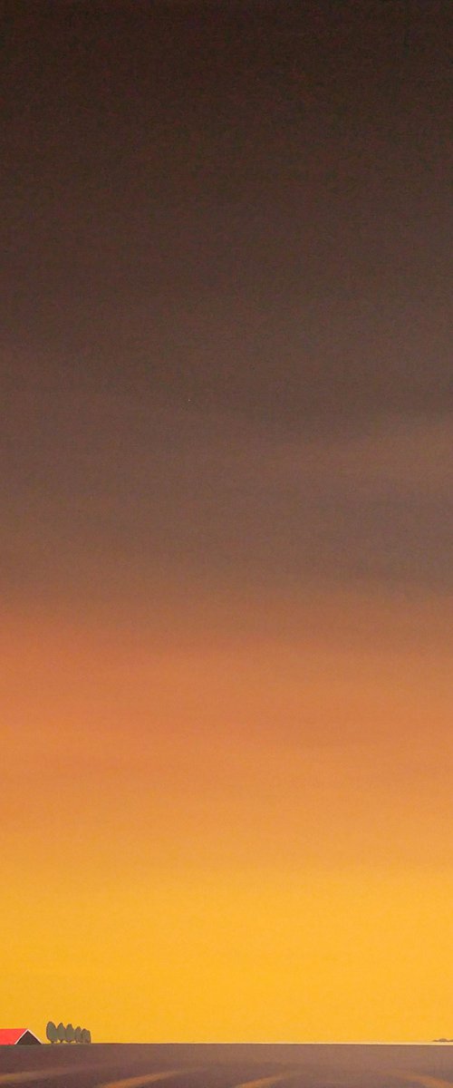 Golden evening in my Dutch polder (April) by Nelly van Nieuwenhuijzen