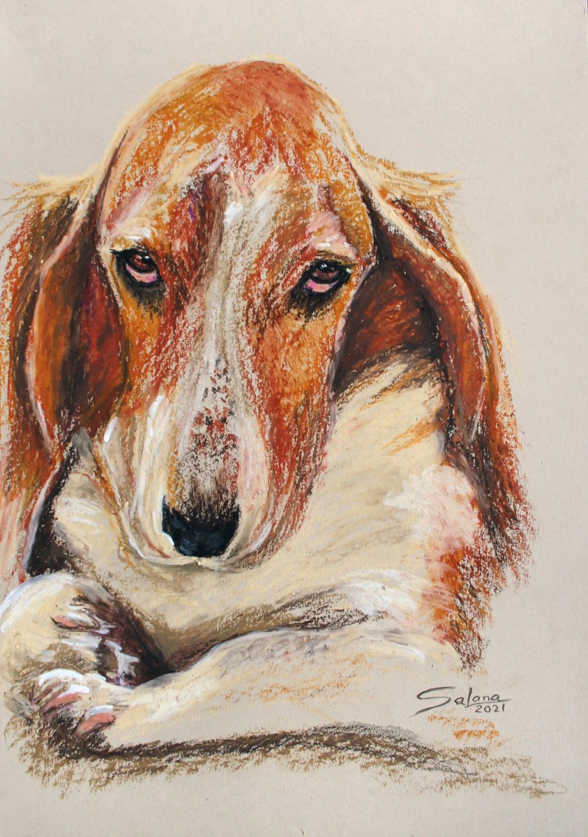 Impressionistic Animal Pastel Drawing By Salana Art / Svetlana Samovarova, 12 X 17", Dog I... Basset Hound, Original Artwork