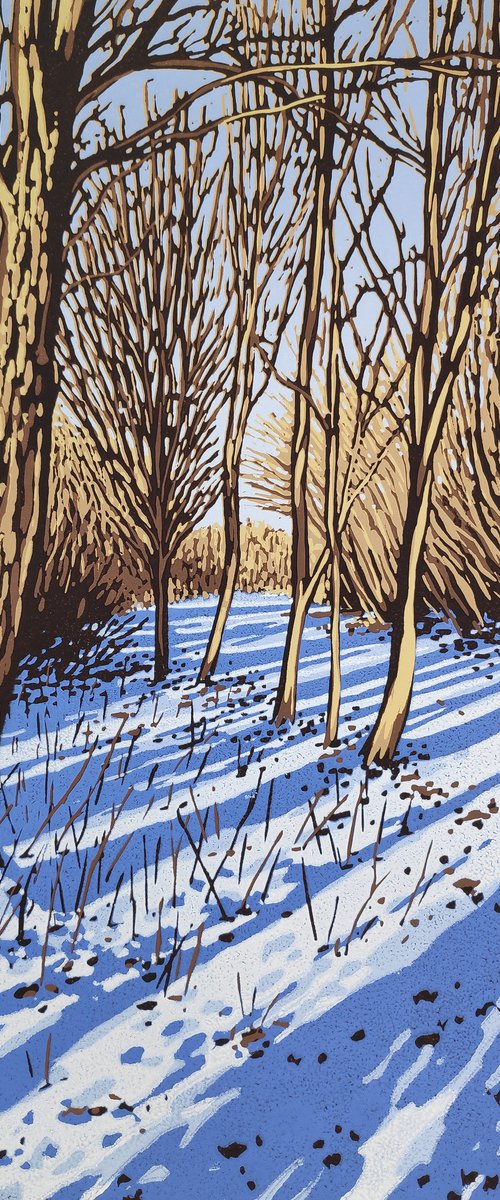 Snow Shadows by Alexandra Buckle