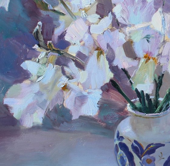 Beautiful iris butterflies.