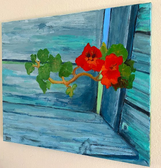 Nasturtium