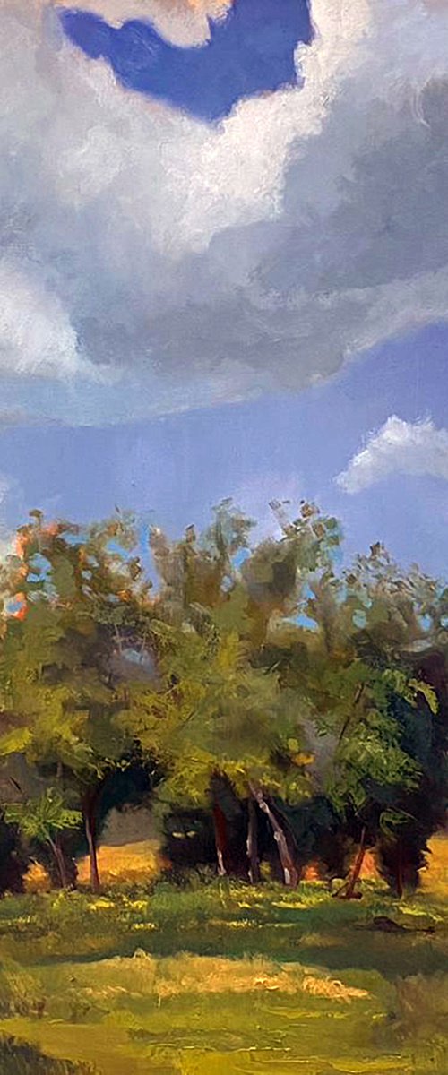Golden Field by Dennis Crayon