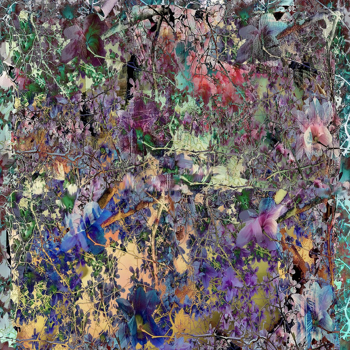 Expressive Abstract Photograph By Geert Lemmers Fpa, 31 X 31, High Summer Colors 25, Original Artwork