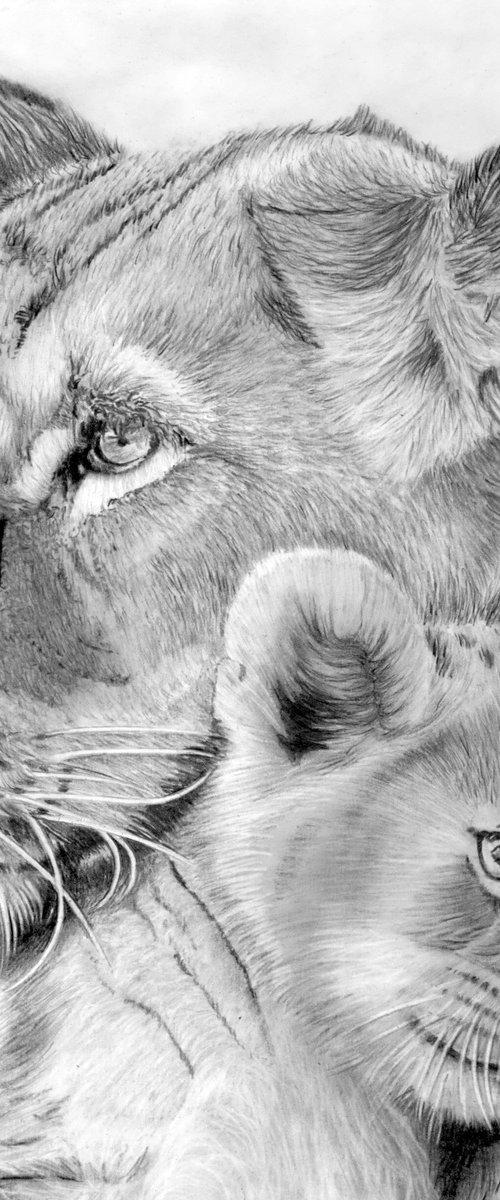 Mother & Cub by Paul Stowe