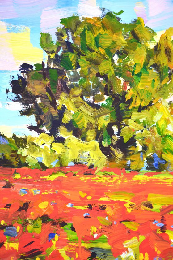 Summer. Poppy field 20.