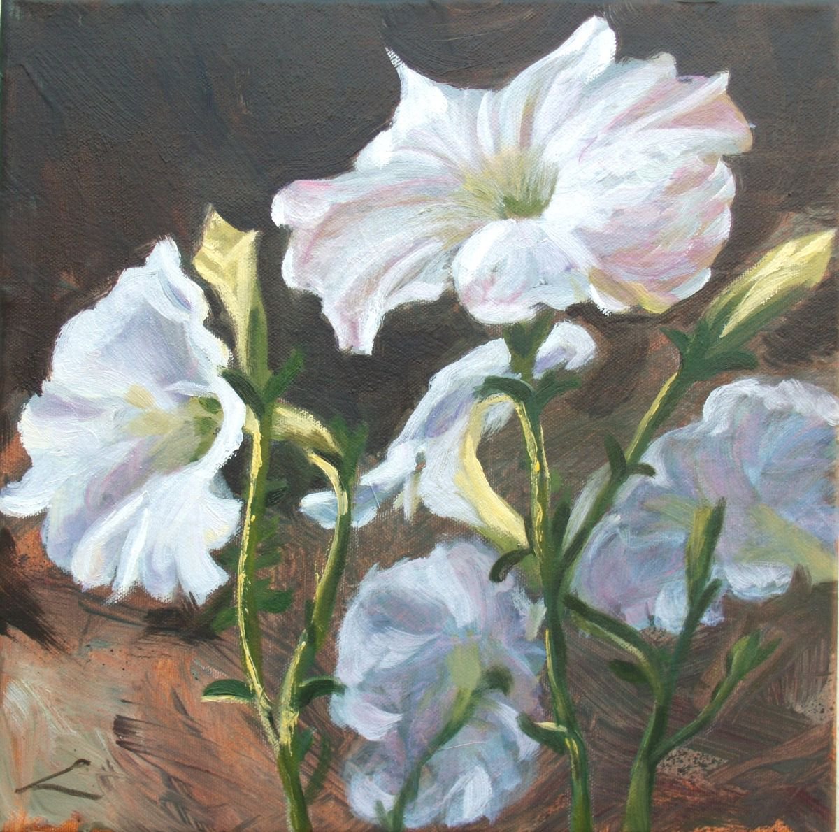 Impressionistic Botanical Oil Painting By Elena Sokolova, 12 X 12, Petunias, Original Artwork