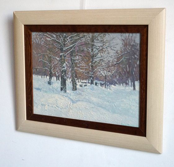 Boulevard in winter