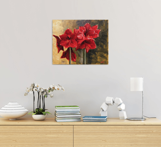 Amaryllis