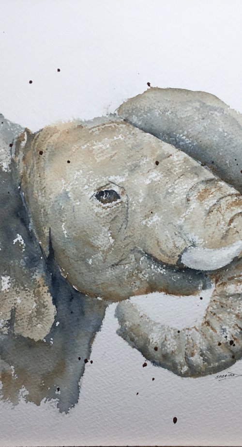 Elephant baby portrait by Sabrina’s Art