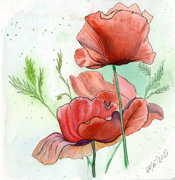 Red Poppies – Botanical