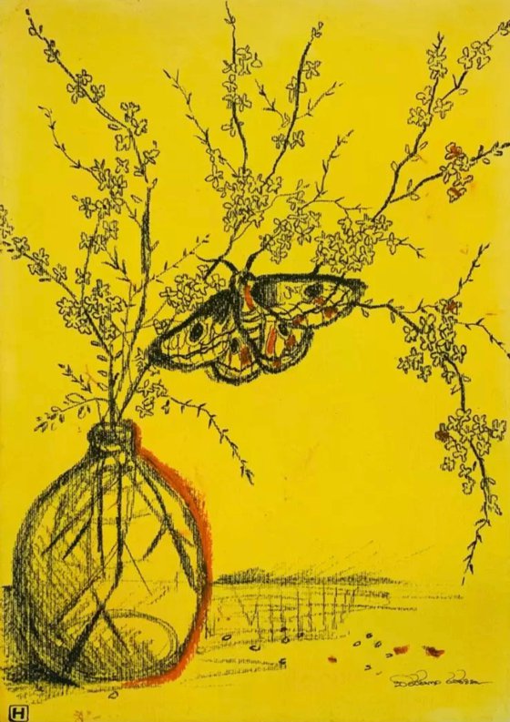 SAFFRON DRAWINGS