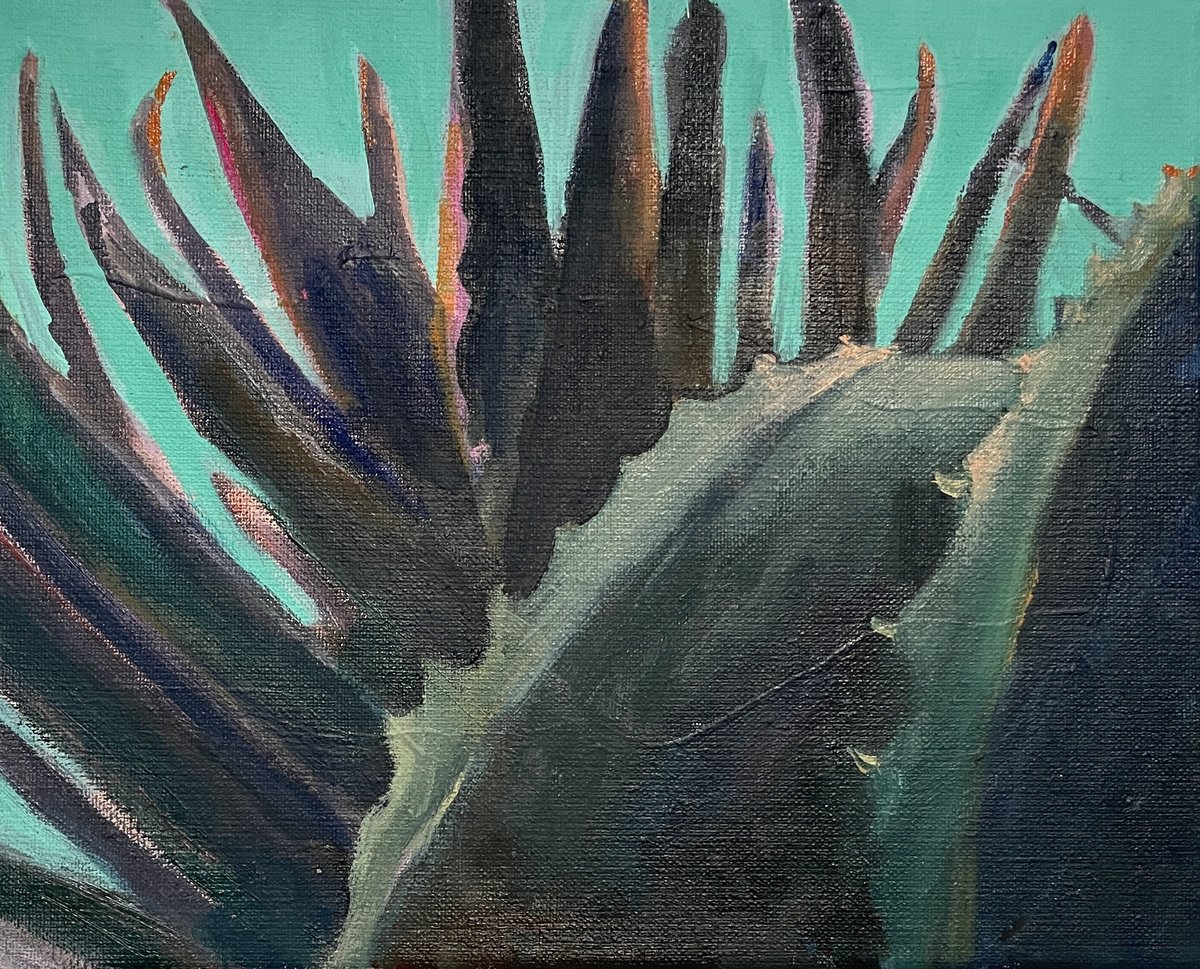 agave by Angeline Maas