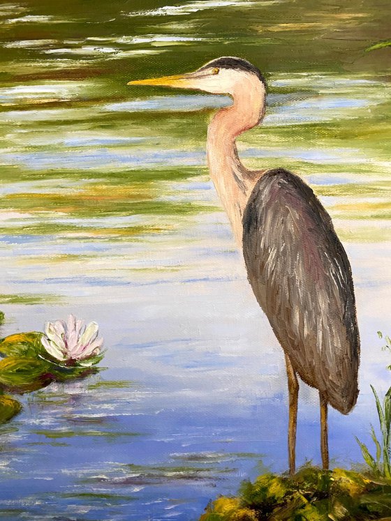 Pond Guardian