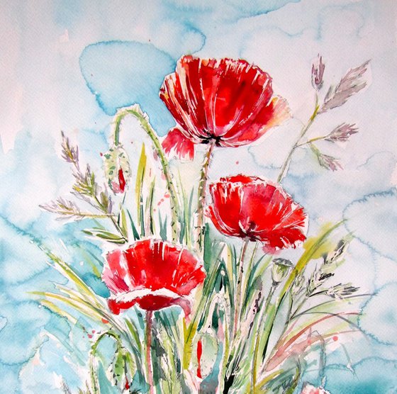 Three poppy