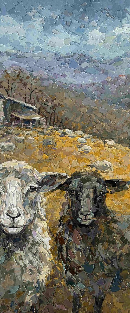 "Two Curious Sheep" by OXYPOINT