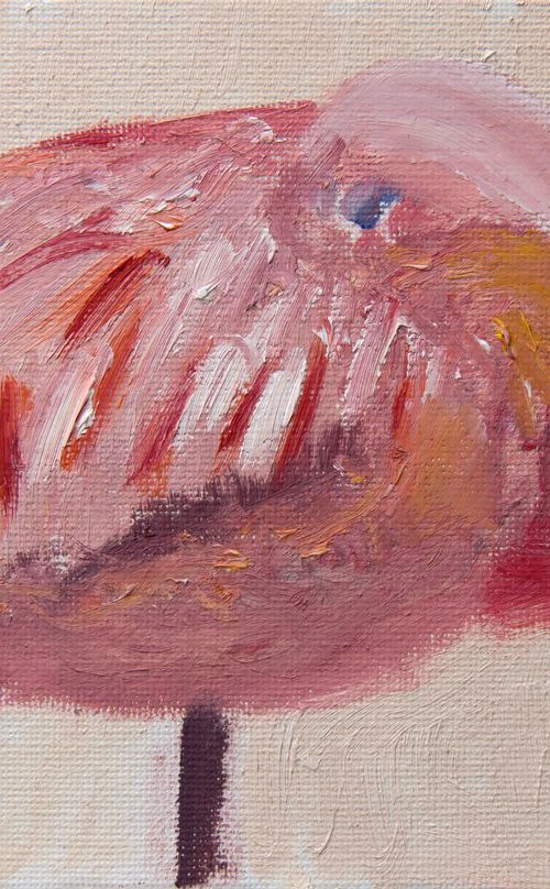 Flamingo by Ryan  Louder