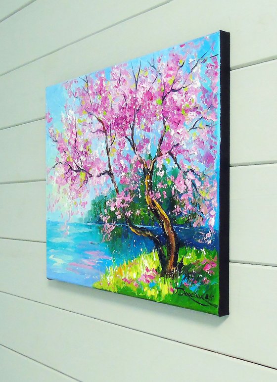 Cherry blossom by the river