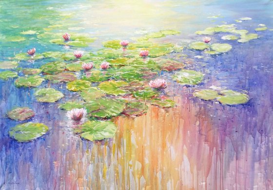 Waterlilies