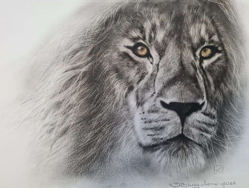 Oil painting reasilm realistic on paper Lion by Deimante Bruzguliene