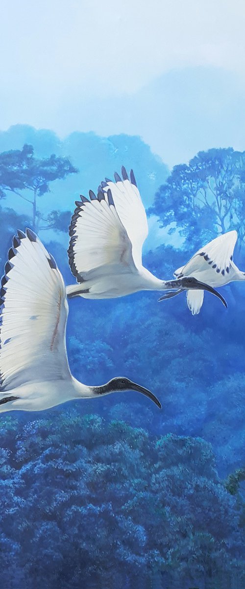 MONSOON / WHITE IBISES by Tatiana Rezvaya