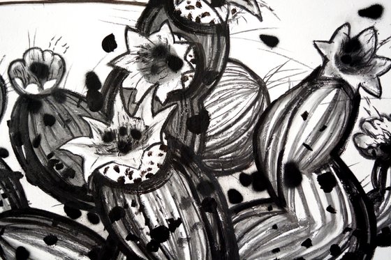 Sur Plants 1