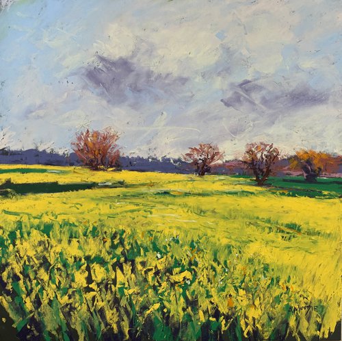 Fields of Sun by Andrew Moodie