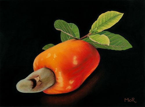 Cashew Fruit by Dietrich Moravec