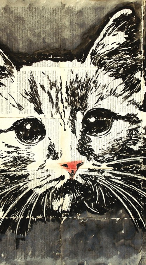 Cat. by Marat Cherny
