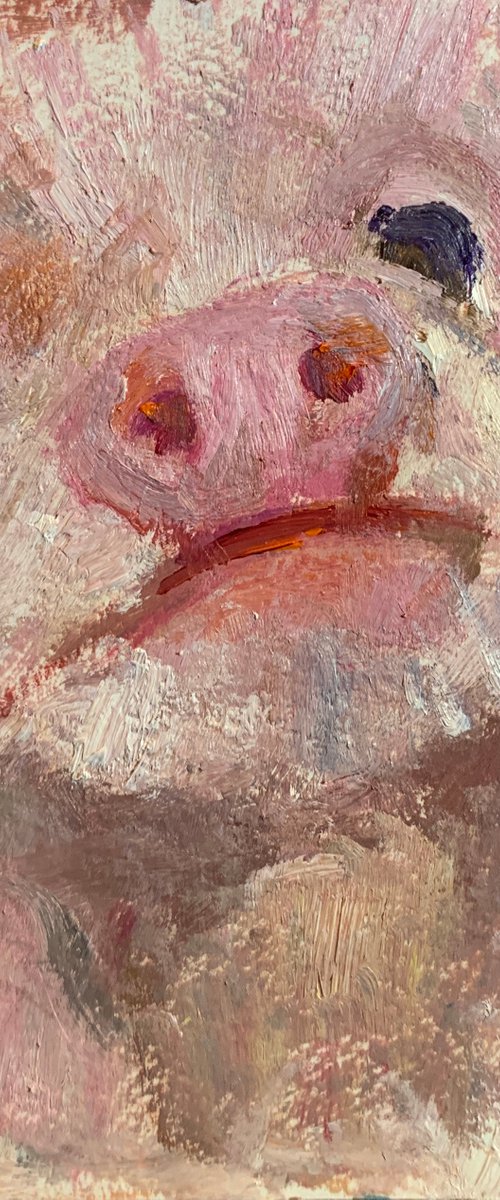 Piglet by Ryan  Louder