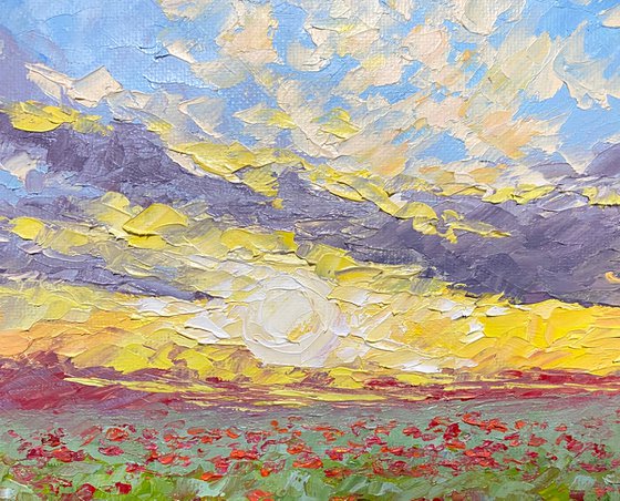 Poppy field at sunset