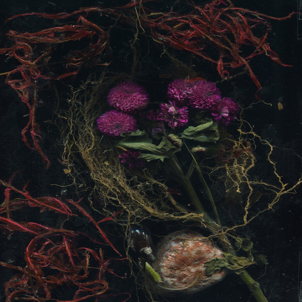 Flowers of Mourning 1 by Jochim Lichtenberger