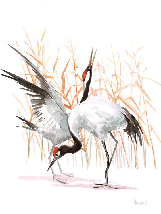 Japanese Cranes Dancing