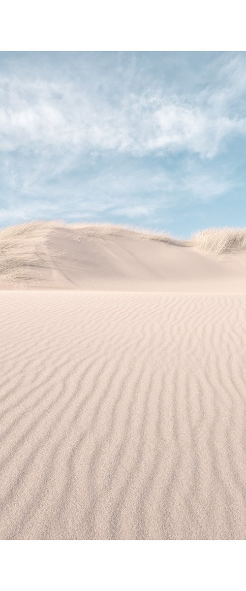 Dune Ripples I by David Baker