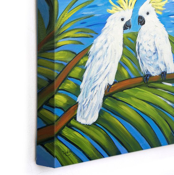 Sydney Cockatoo