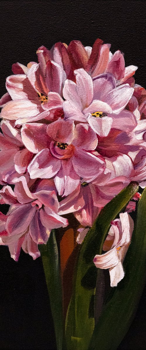 Hyacinth spring art by Natasha Sokolnikova