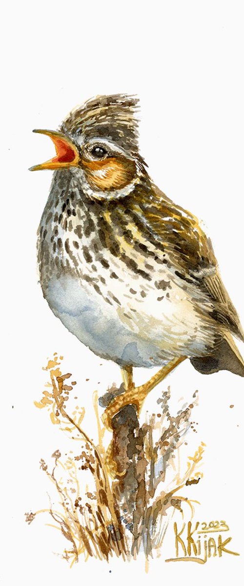 The Secret Life of the Skylark by Karolina Kijak