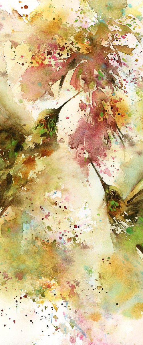 Hummingbirds by Sophie Rodionov