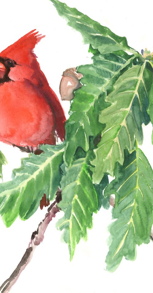Cardinal Bird and Oak Tree by Suren Nersisyan
