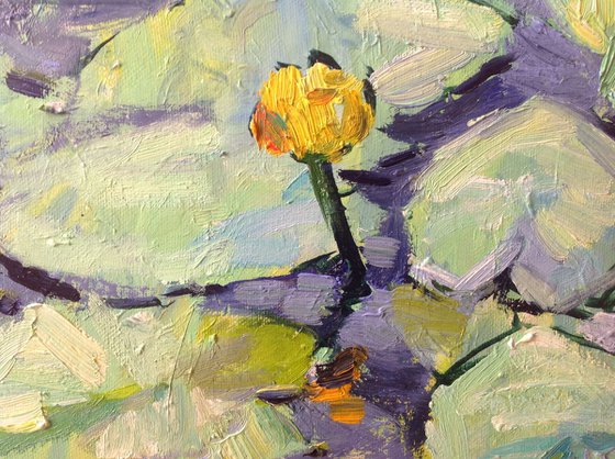 Rainy day. Water lily.  Pond  light oil painting  river original oil painting