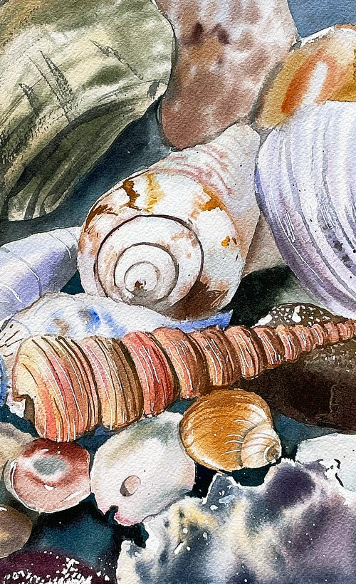 Seashells from Limassol by Ksenia Astakhova