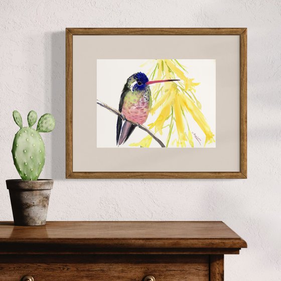 Hummingbird and Yellow Flowers