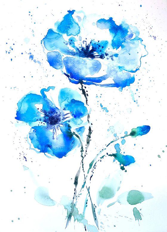 Blue poppies