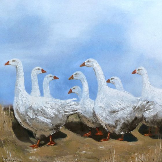 Eight Geese