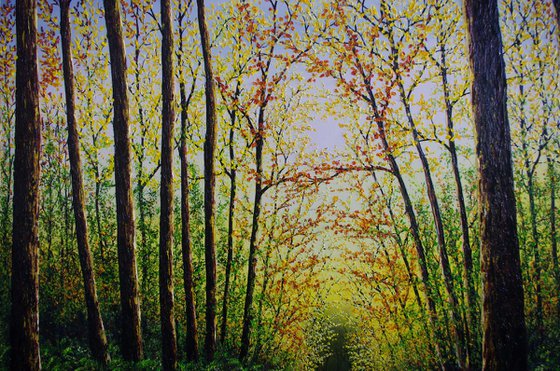 Forest Glow