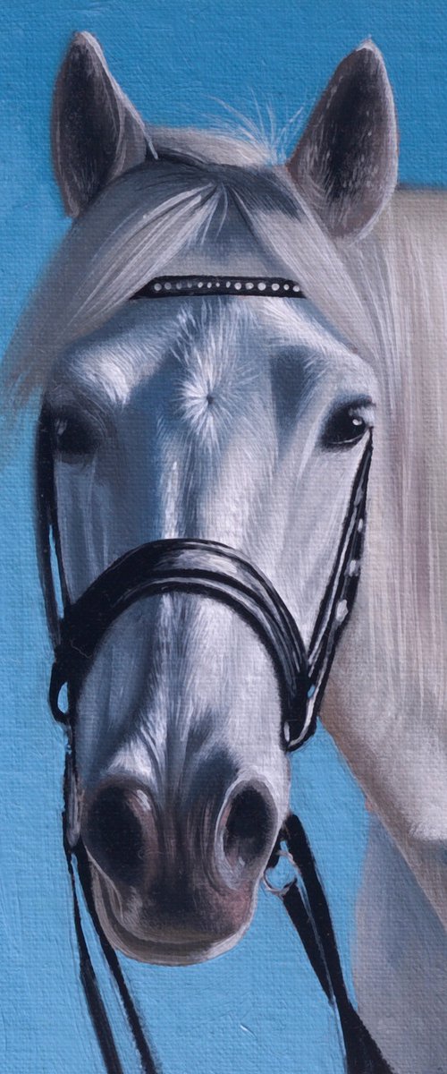 Horse Portrait 48 by Anastasia Parfilo