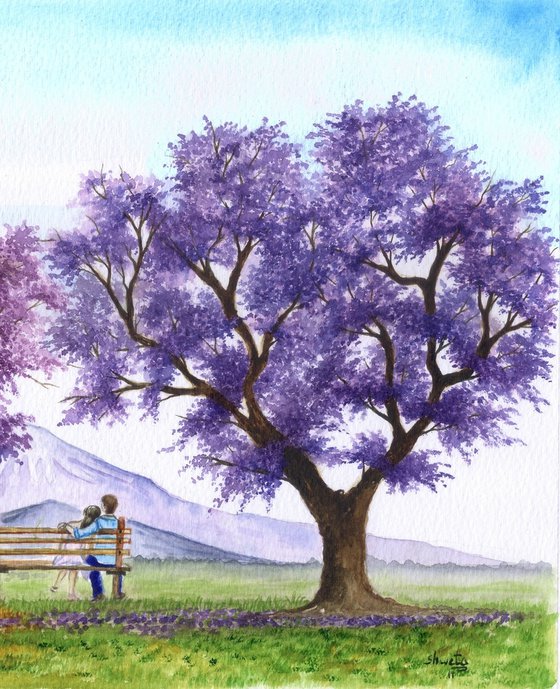 Under the blooming Jacarandas