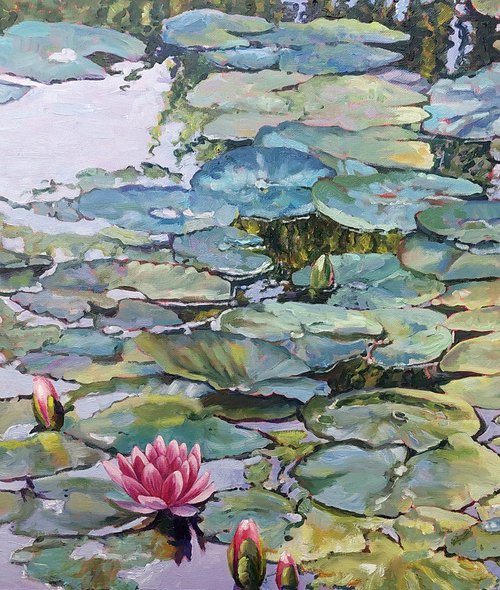 The Lily Pond by Zoe Elizabeth Norman