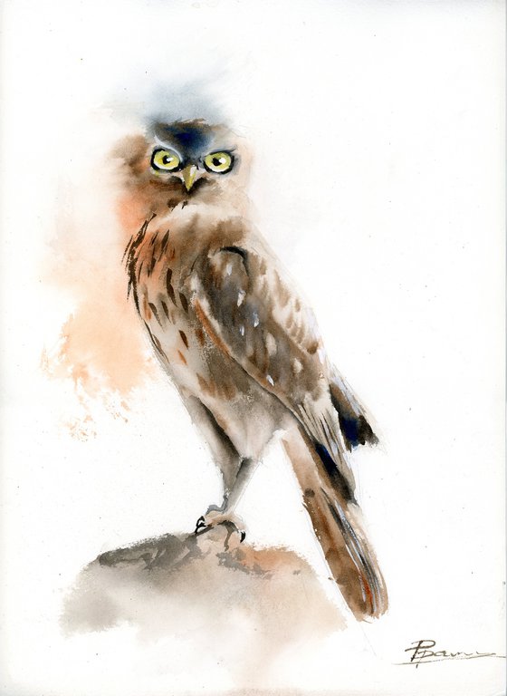 Young Owl