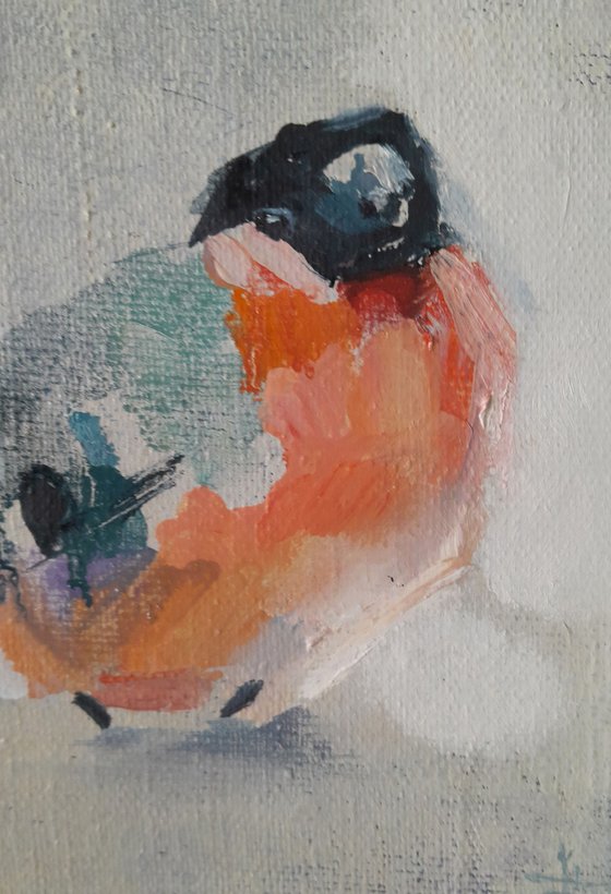Bullfinch