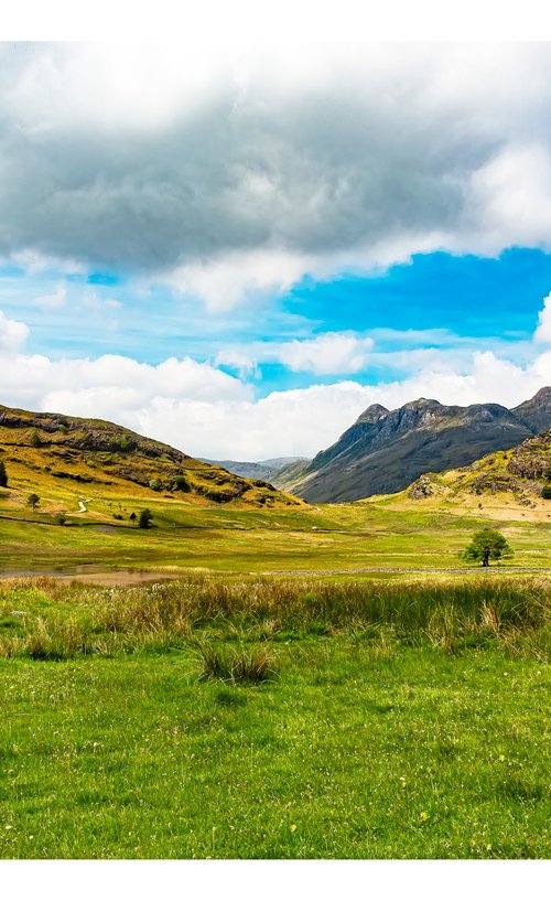 Blea Tarn - English Lake District by Michael McHugh